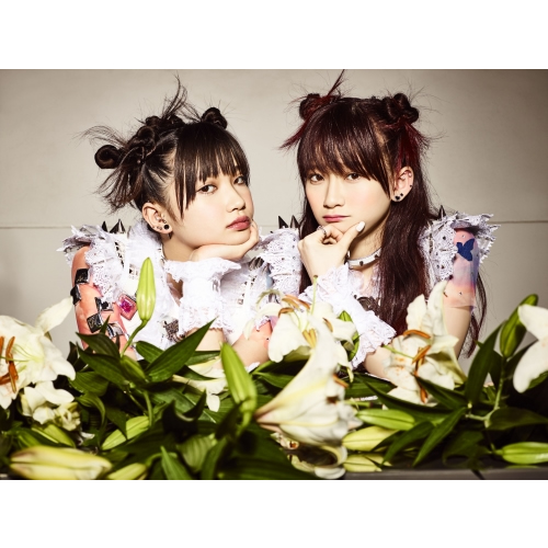 The Idol Formerly Known As LADYBABY