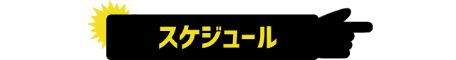 スケジュール